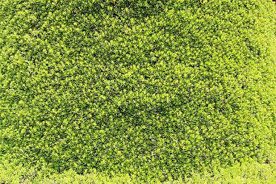 未来风格空中炮艇游戏《Drone Sector》Steam页面开放 2025年发行